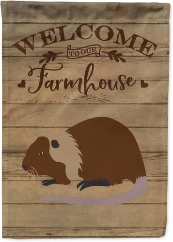 Caroline's Treasures CK6823GF Coypu Nutria River Rat Welcome Garden Flag - Bandera decorativa para patio exterior, patio, obras de arte para