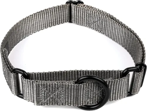 Miniatura 30 de Country Brook Petz - Collar Martingale para perro - Collar de entrenamiento resistente sin hebilla - Collar para perros de servicio para todos
