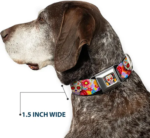 Miniatura 7 de Collar de perro hebilla de cinturón de seguridad Sugar Skull Starburst blanco multicolor 13 a 18 pulgadas 1.5 pulgadas de ancho