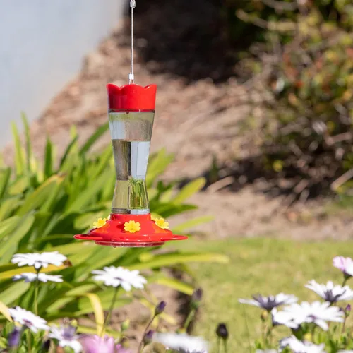 Miniatura 7 de MEKKAPRO Comedero para colibríes para exteriores hecho de vidrio, comedero para colibríes para exteriores, colgante a prueba de hormigas y abejas