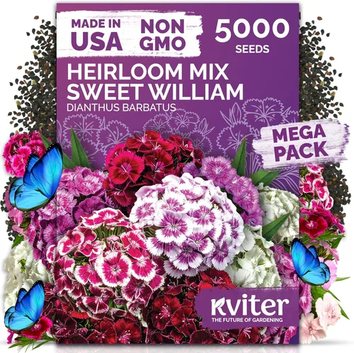 Miniatura 28 de KVITER 1600 semillas de pensamiento de los gigantes suizos para plantar (Viola wittrockiana) - Paquetes de semillas de colores mixtos Flores