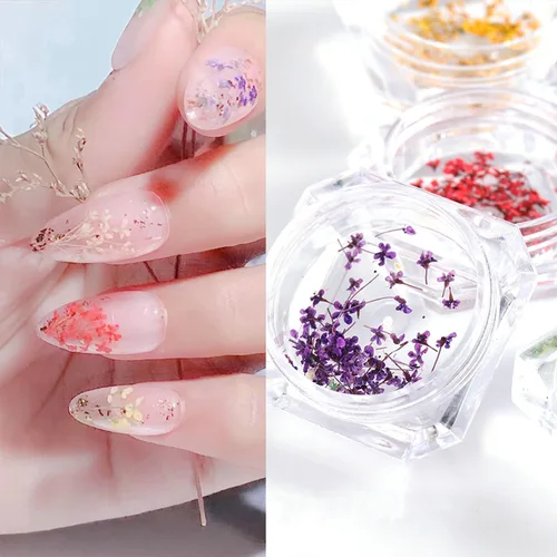 Miniatura 5 de 8 cajas de flores secas para uñas, mini flores de uñas reales 3D, flores secas, calcomanías de uñas, decoración de uñas, decoración de uñas, Flores