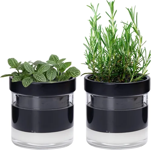Miniatura 15 de Maceta Phoenix Vine de 6 Pulgadas con Riego Automático, Maceta de Arcilla Terracota con Reservario de Vidrio para Plantas de Interior, Hierbas