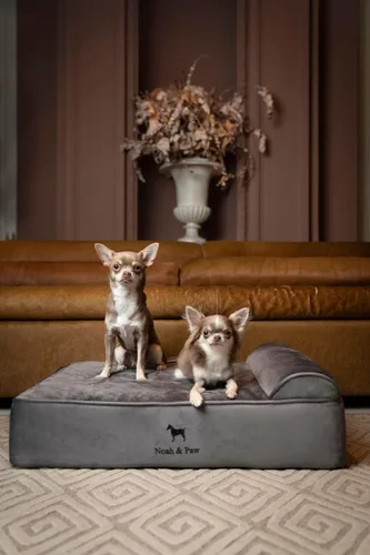 Miniatura 2 de NOAH & PAW Cama para Perro, 28x23x7.5 Pulgadas, Camas Ortopédicas para Perros de Tamaño Mediano, Espuma Viscoelástica Tipo Cáscara Infundida con Gel