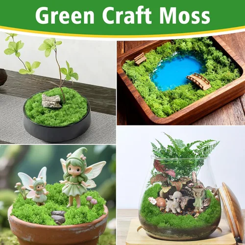 Miniatura 4 de Halatool Musgo de reno preservado para manualidades, musgo verde para terrarios, jardines de hadas, manualidades, decoración del hogar, ideal