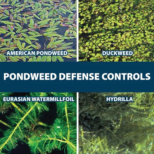 Miniatura 4 de Airmax Ultra Pondweed Defense - Mata malezas acuáticas y plantas, fácil aplicación en aerosol para limpiar y limpiar agua de estanque grande y lago