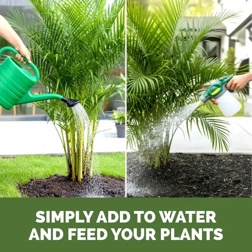 Miniatura 5 de Fertilizante para palmeras para todas las palmas y helechos, alimento líquido para plantas 8 oz (250mL)