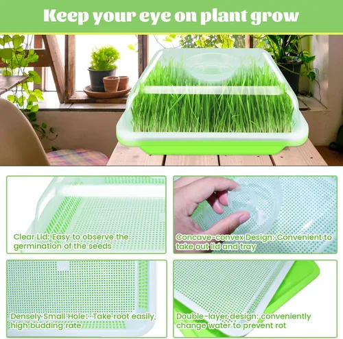 Miniatura 3 de Legigo Paquete de 2 Bandejas Germinadoras de Semillas con Tapas - Bandeja de Germinación de Cultivo Sin Suelo, Bandejas de Cultivo de Microvegetales