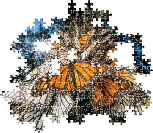 Miniatura 5 de Clementoni - 39732 - Puzzle National Geographic - Mariposas Monarca - Rompecabezas de 1000 piezas, rompecabezas para adultos, rompecabezas