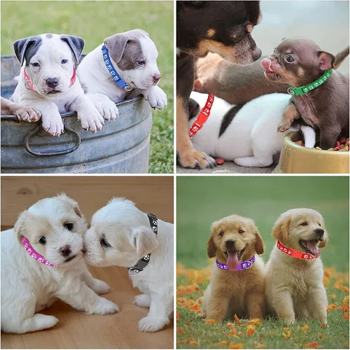 Miniatura 6 de Paquete de 12 Collares para Cachorros de Camada, Collares de Identificación Ajustables para Cachorros, Collares de Nailon Suave de Parto