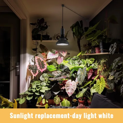 Miniatura 3 de Luces colgantes de cultivo para plantas de interior, 25 W 5000 K, bombillas LED de cultivo colgantes con temporizador, luz de planta colgante