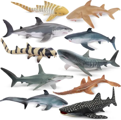 Toymany 10 figuras realistas de juguete de baño de tiburón de 5 a 6 pulgadas de largo, juego de figuras de plástico de animales marinos del océano