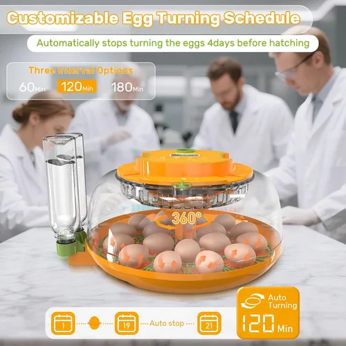 Miniatura 5 de 18 incubadoras de huevos para incubar huevos, incubadora de huevos con giro automático y control de humedad, reposición automática de agua, 2
