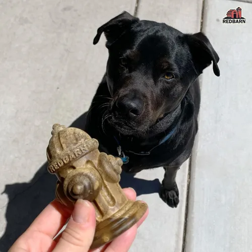 Miniatura 3 de Redbarn Chew-A-Bulls, paquete de 12 – Golosinas dentales para perros de forma de hidrante mediano – Cuidado bucal diario con divertidas crestas