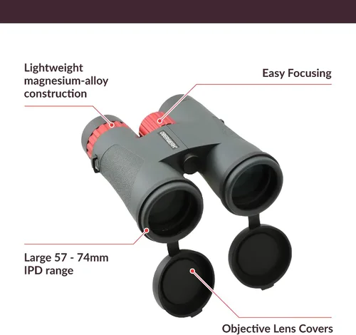 Miniatura 5 de Oberwerk Binoculares Sport ED 8x42 – Prismáticos profesionales para adultos/senderismo y exteriores/observación de aves de nivel avanzado/armadura