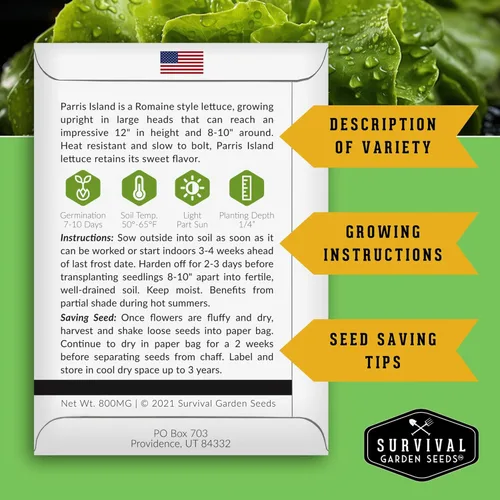 Miniatura 2 de Semillas de lechuga romana para plantar, variedad de reliquia de Parris Island Cos con cabezas crujientes y tiernas, tolerantes al calor, lechuga