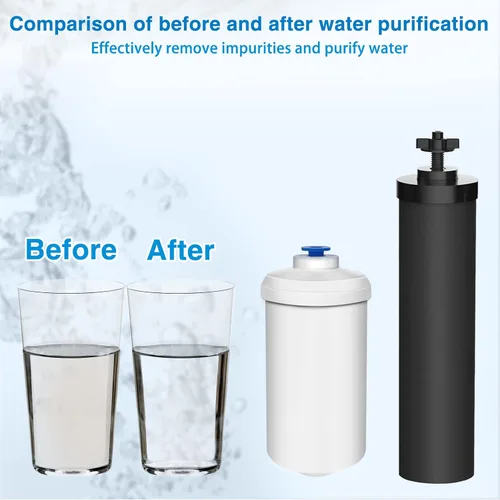 Miniatura 6 de Filtro de agua de repuesto para filtro de agua, para filtros de fluoruro y filtros negros, incluye 4 filtros negros y 4 filtros de fluoruro