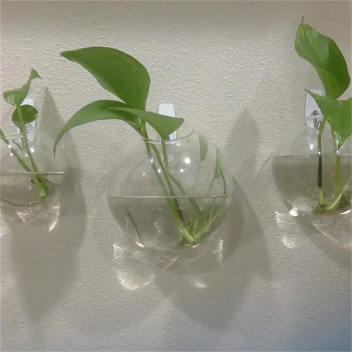 Miniatura 6 de Juego de 3 jarrones de pared de vidrio con forma de cuenco de burbujas, terrario para colgar en la pared, macetas de pared para interiores