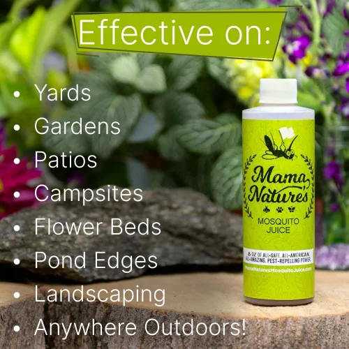 Miniatura 2 de Mama Nature's Mosquito Juice Pulverizador de bomba de 1 galón Fabricado en Estados Unidos Uso para césped, plantas, riego, maleza, plagas