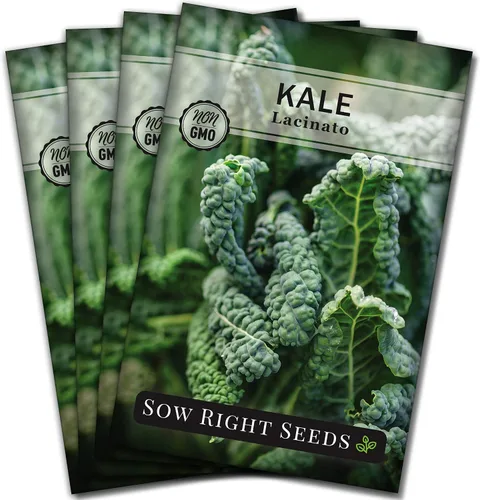 Miniatura 9 de Sow Right Seeds - Semilla de col rizada Lacinato para plantar - Paquete de reliquia sin OMG con instrucciones para plantar un huerto casero