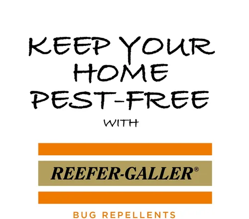 Miniatura 7 de Reefer Galler SLA Spray repelente de polillas con aroma a cedro, mata polillas, chinches y plagas al contacto, 15 onzas (Paquete de 3) Mata
