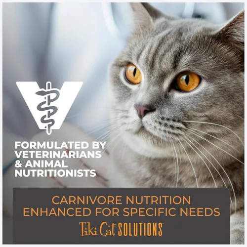 Miniatura 8 de Tiki Cat Born Carnivore - Alimento seco para gatos de peso óptimo, Turquía, bolsa de 2.8 libras