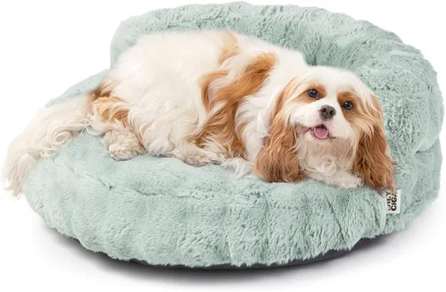 Miniatura 13 de EHEYCIGA Sofá cama suave para gatos de interior, cama extra pequeña esponjosa para perros con funda extraíble lavable, sofá para mascotas, Camello