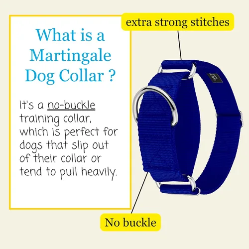 Miniatura 4 de Country Brook Design - Collar ancho para perro, ajustable para razas grandes - Collar de perro de nailon sólido Martingala