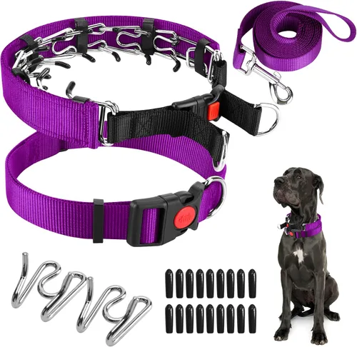 Miniatura 31 de Collar de entrenamiento de puntas con puntas cómodas y hebilla de cierre rápido – Collar de pellizco para perro con cubierta de nailon