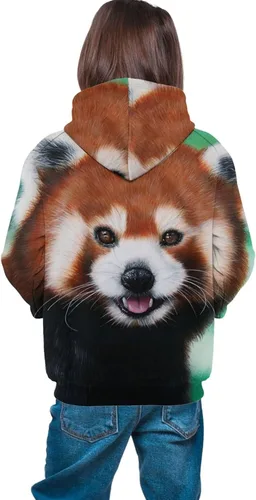 Miniatura 4 de Sudaderas con capucha y estampado 3D para niños y niñas