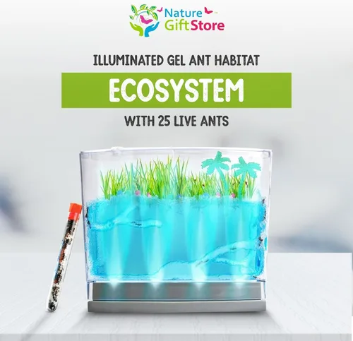 Miniatura 2 de Hábitat de hormigas de gel con iluminación LED con 25 hormigas vivas, juego de eco-terrario, incluye gel nutritivo, semillas, palmeras, rocas y más