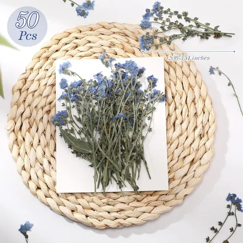 Miniatura 2 de 50 piezas de flores secas naturales Forget Me Not Pressed Blue Don't Forget Me Dry Flower Real para joyería de resina, fabricación de tarjetas