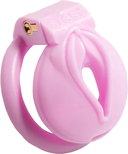 AMAZBEE Jaula de castidad de mariquita rosa, jaula de castidad para adultos, dispositivo de castidad para adultos, con 4 anillos para el pene, jaula