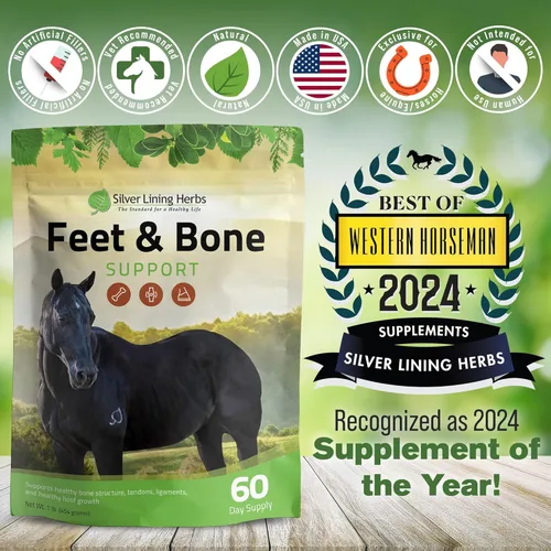 Miniatura 5 de Silver Lining Herbs Suplemento para pies y huesos para caballos en polvo, tendones naturales, ligamentos y tejidos circundantes y suplemento