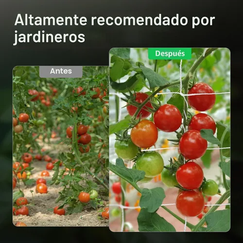 Miniatura 5 de Vivosun - Red cuadriculada de poliéster resistente para plantas, 5'x30' (paquete de 1)