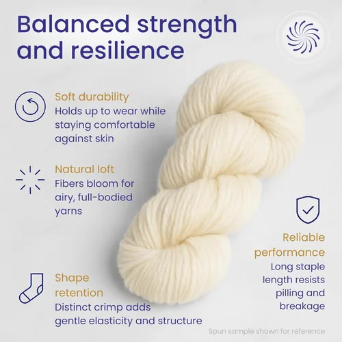 Miniatura 3 de Revolution Fibers Corriedale Wool Roving 1 lb (16 onzas) para hilar, hilo suave y grueso jumbo para manta de tejer con brazos, hilo de lana 100%