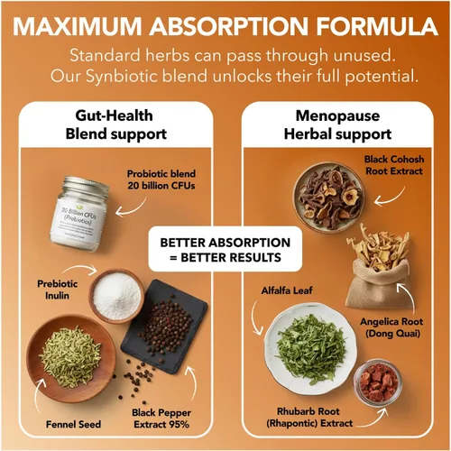 Miniatura 4 de Suplemento completo de apoyo para la menopausia para mujeres Sinbiótico de menopausia con cohosh negro, Dong Quai, raíz de ruibarbo Ayuda a
