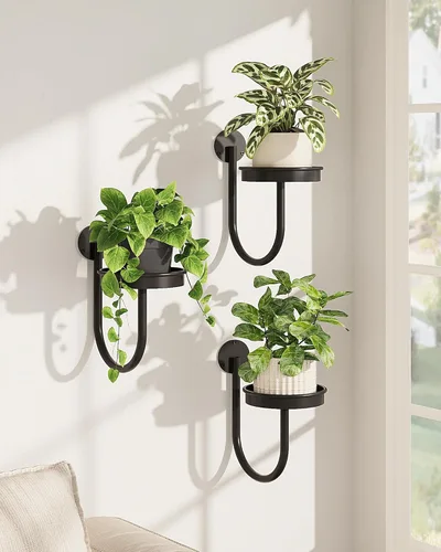 Bamworld Macetas colgantes para plantas de interior, soporte para plantas de pared, colgador de plantas, macetas de pared para interiores, estantes