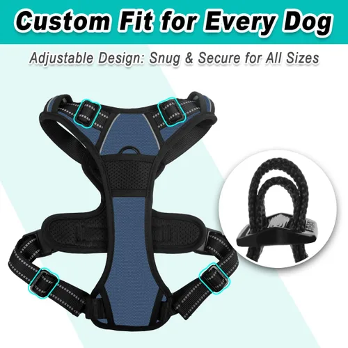Miniatura 6 de BARKBAY Arnés para perro sin tirones para perros grandes, ajustable, reflectante, cómodo, sin estrangulamiento, resistente - perfecto para Azul