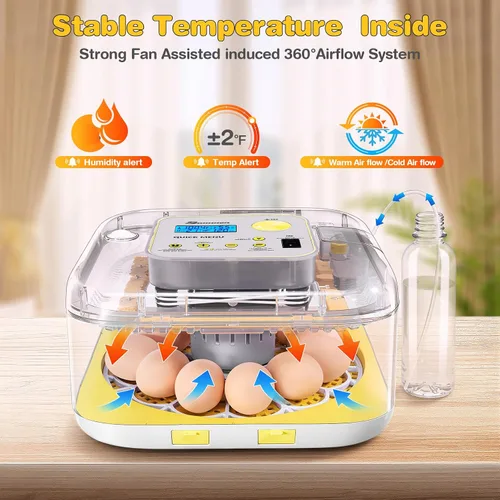 Miniatura 3 de Incubadora para incubar huevos, capacidad de 12 huevos, humidificación automática recién actualizada 2026, control de temperatura y humedad, Amarillo