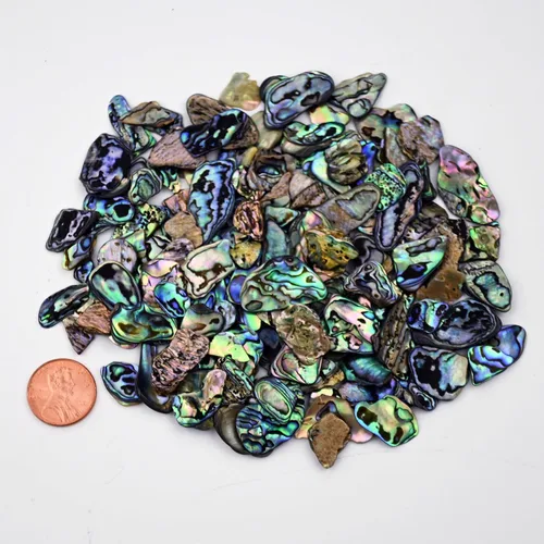 Miniatura 4 de Suministros de incrustaciones de abulón Paua - Parent