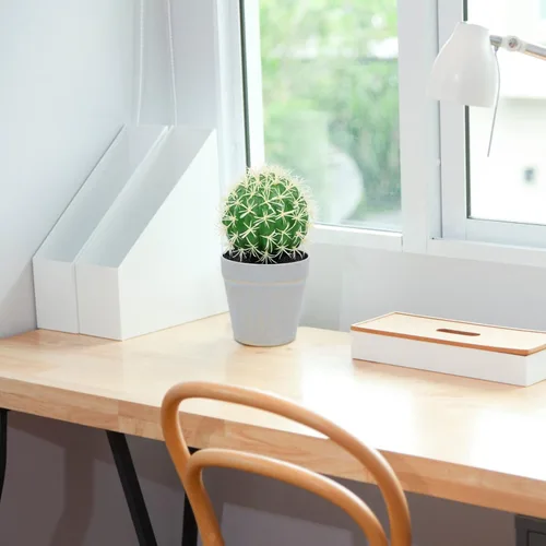 Miniatura 7 de HOMSFOU Cactus en maceta, adornos de oficina, plantas de interior para interiores, macetas pequeñas para interiores, bonsáis de imitación de cactus