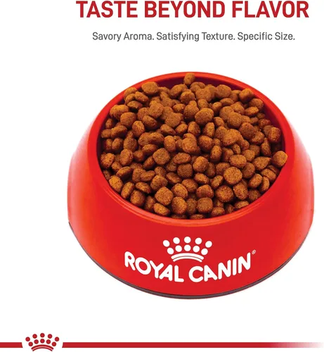Miniatura 7 de Royal Canin Breed Health Nutrition Cavalier King Charles Spaniel - Alimento seco para cachorros, bolsa de 3 libras