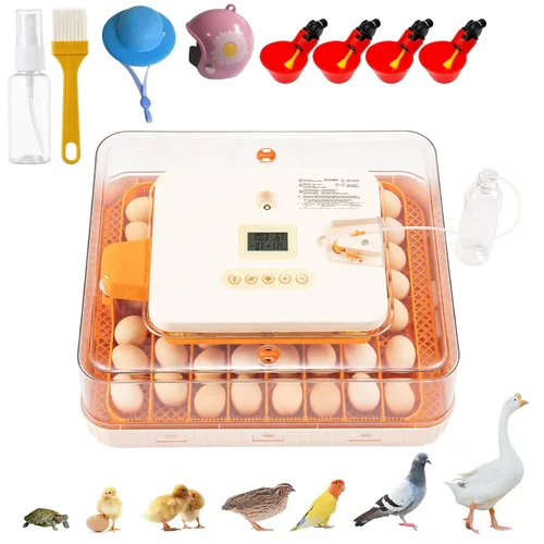 Incubadora de 56 huevos para incubar huevos, girador automático inteligente y control de humedad, vista de 360°, vela incorporada | Kit de eclosión