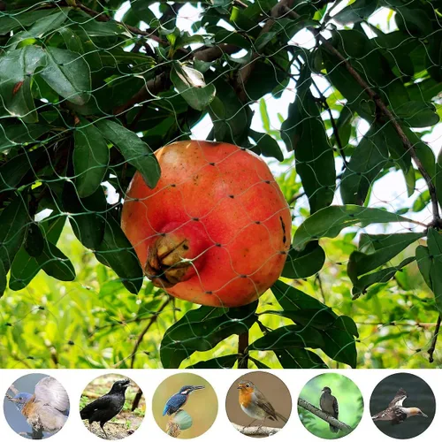 Miniatura 7 de Red para pájaros para jardín de 6.5 x 50 pies, malla de 1/4 de pulgada, protege arándanos, fresas, tomates, verduras. Red de árboles frutales