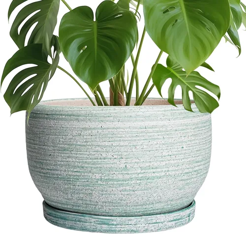 Miniatura 69 de SQOWL Macetas de cerámica – Maceta de 6 pulgadas con orificio de drenaje y bandeja, maceta redonda para plantas de interior, maceta decorativa