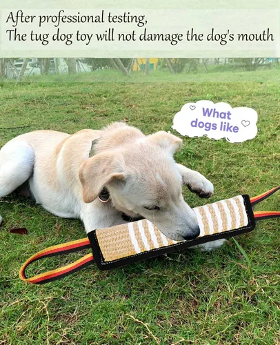 Miniatura 7 de Clysoru Juguete de yute resistente para perros