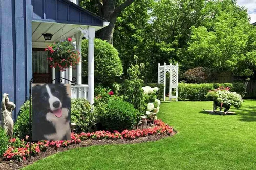 Miniatura 5 de AOYEGO Border Collie - Bandera de arpillera de doble cara de tela de alta calidad para perros, mascotas, cachorros, animales en blanco y negro