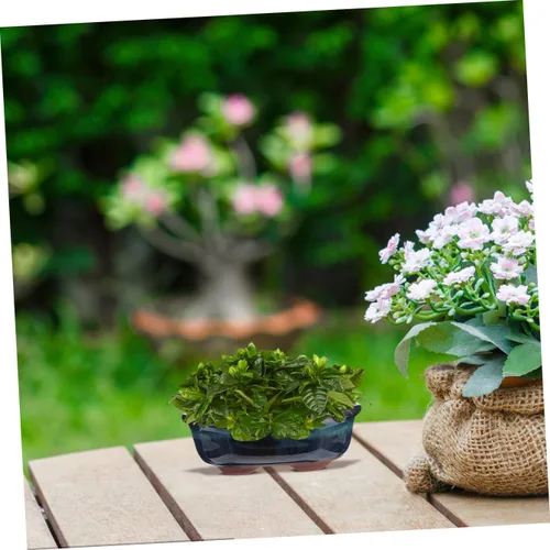 Miniatura 5 de Yardwe 2 macetas de cerámica esmaltadas para bonsái y cactus, elegantes adornos de escritorio decorativos para interiores para el año