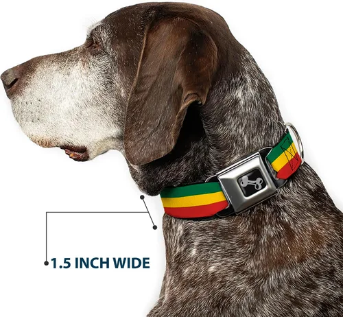 Miniatura 7 de Buckle-Down Collar de perro con hebilla para cinturón de seguridad, 1 pulgada de ancho, se adapta a cuello de 9 a 15 pulgadas, pequeño